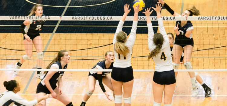 Volleyball Damen Volleyball Damen